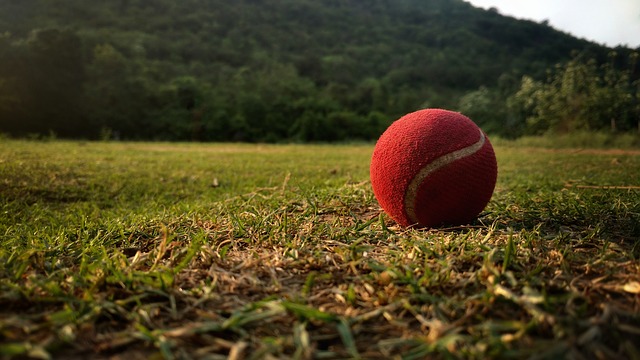 Compra Online las Mejores Pelotas de Cricket