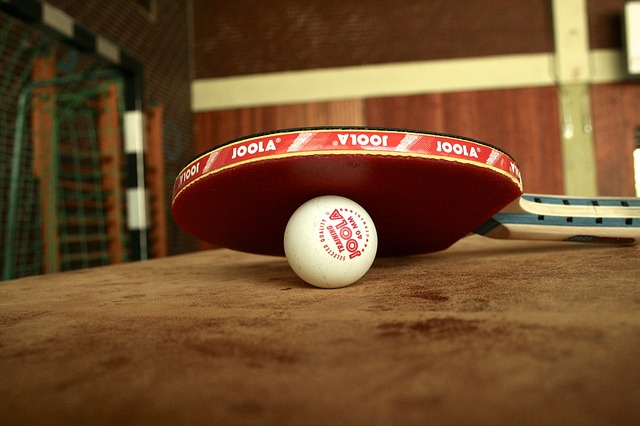 Tienda Online de Pelotas de Ping Pong